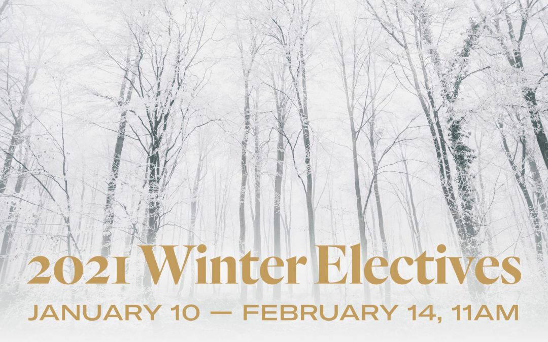 Fall Elective 2020