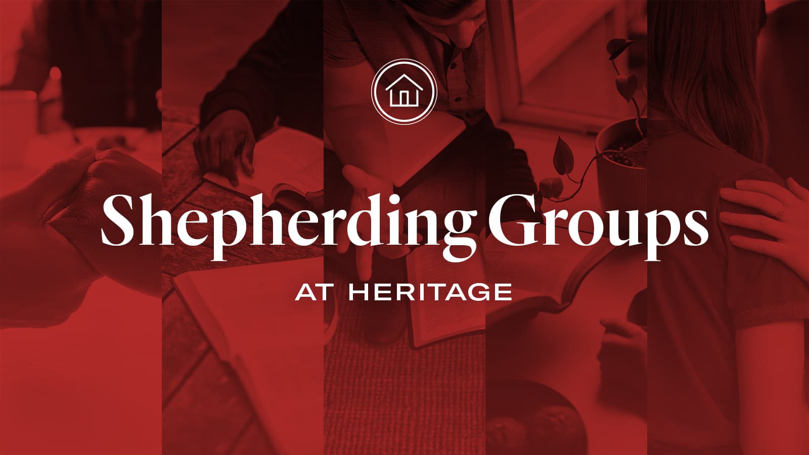 Shepherding Groups