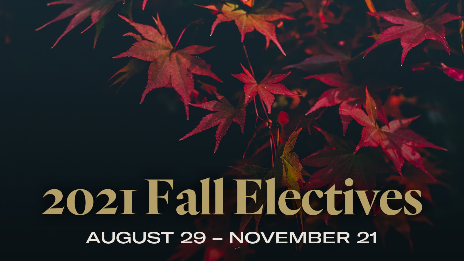 Fall Electives 2021 — Heritage Bible Church
