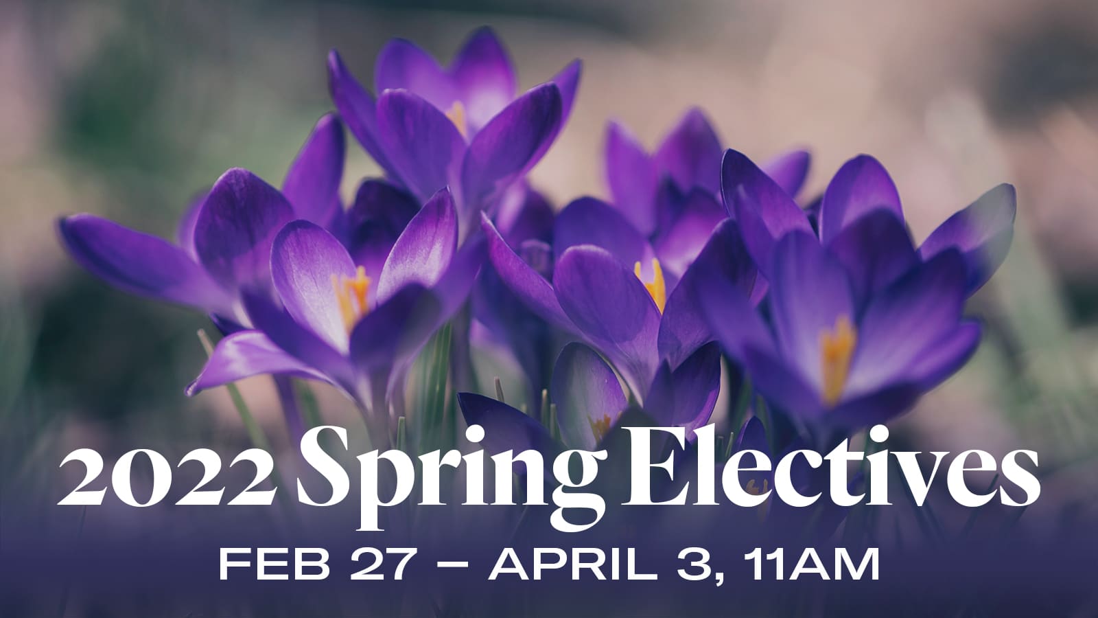 Spring Electives 2022 — Heritage Bible Church