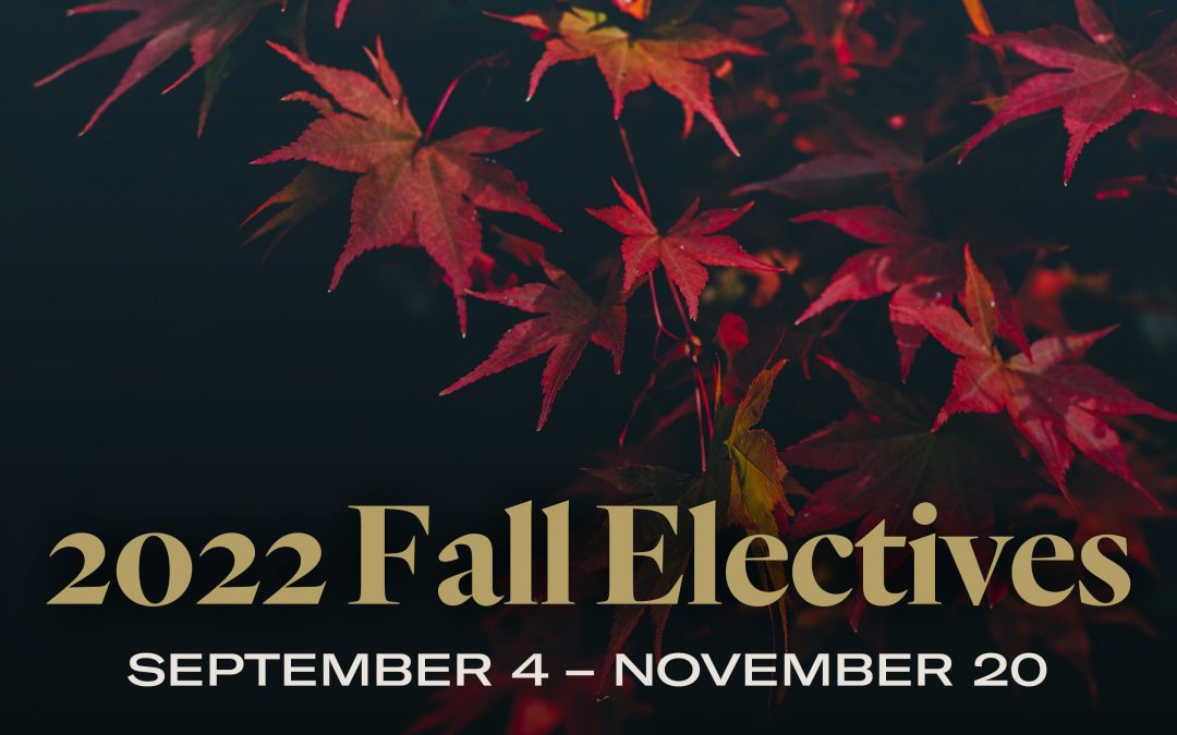 Fall Electives 2022 – elementor
