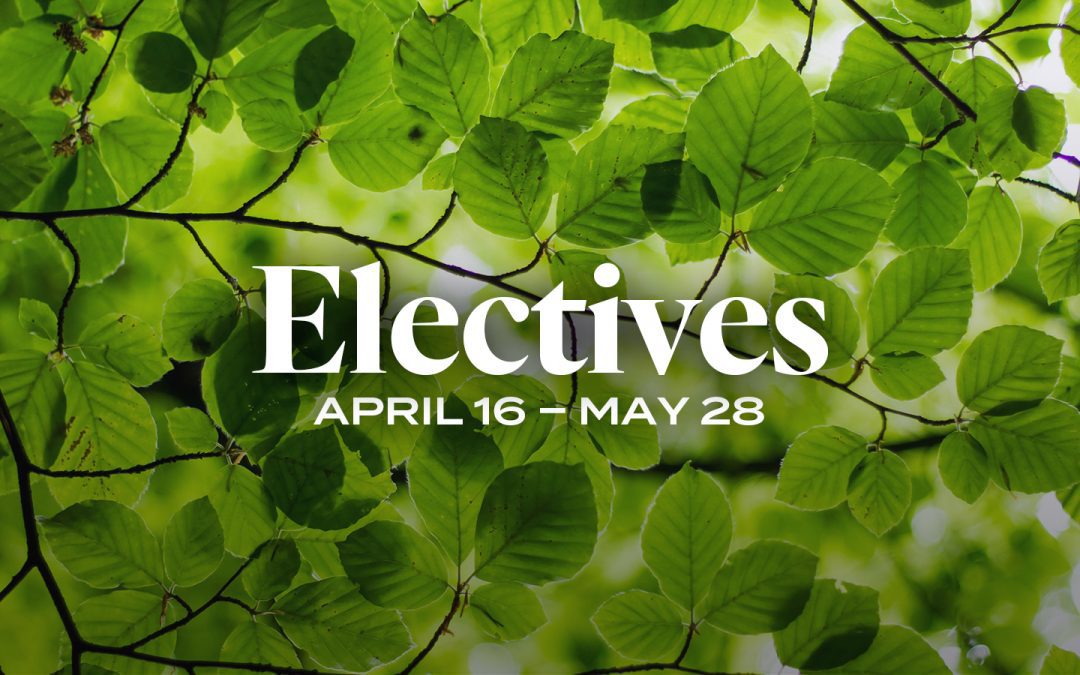6-Week Electives Spring 23