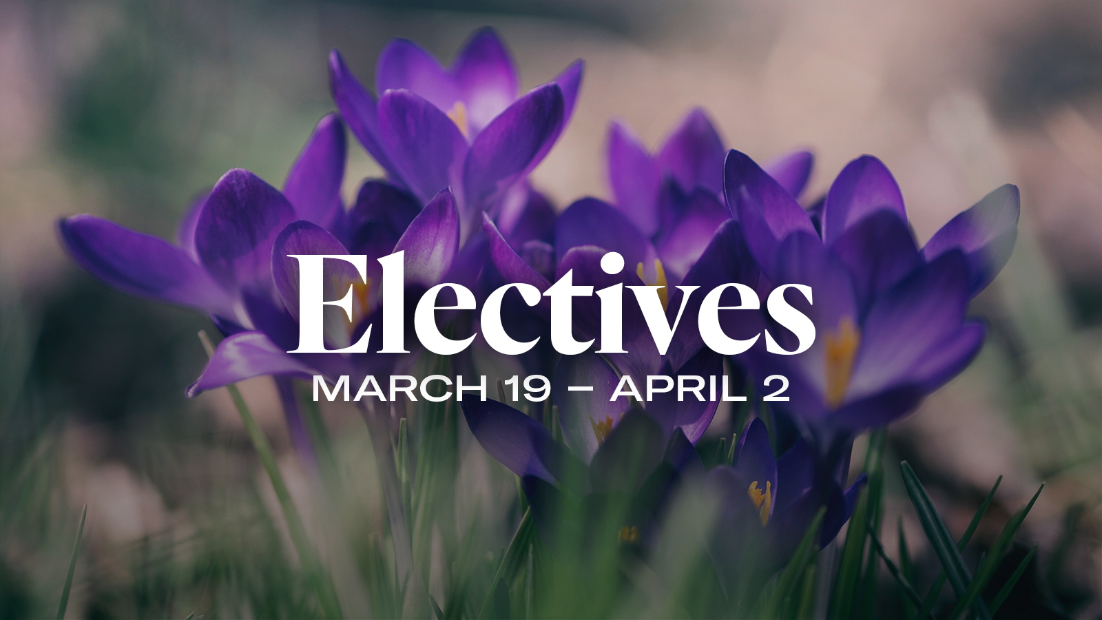 3-week-electives-heritage-bible-church