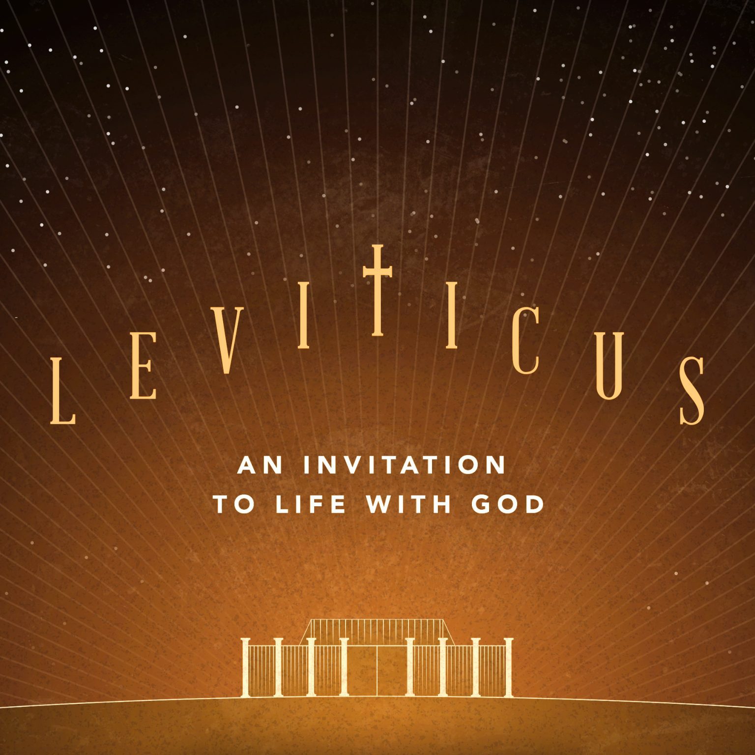 Leviticus: An Invitation to Life with God
