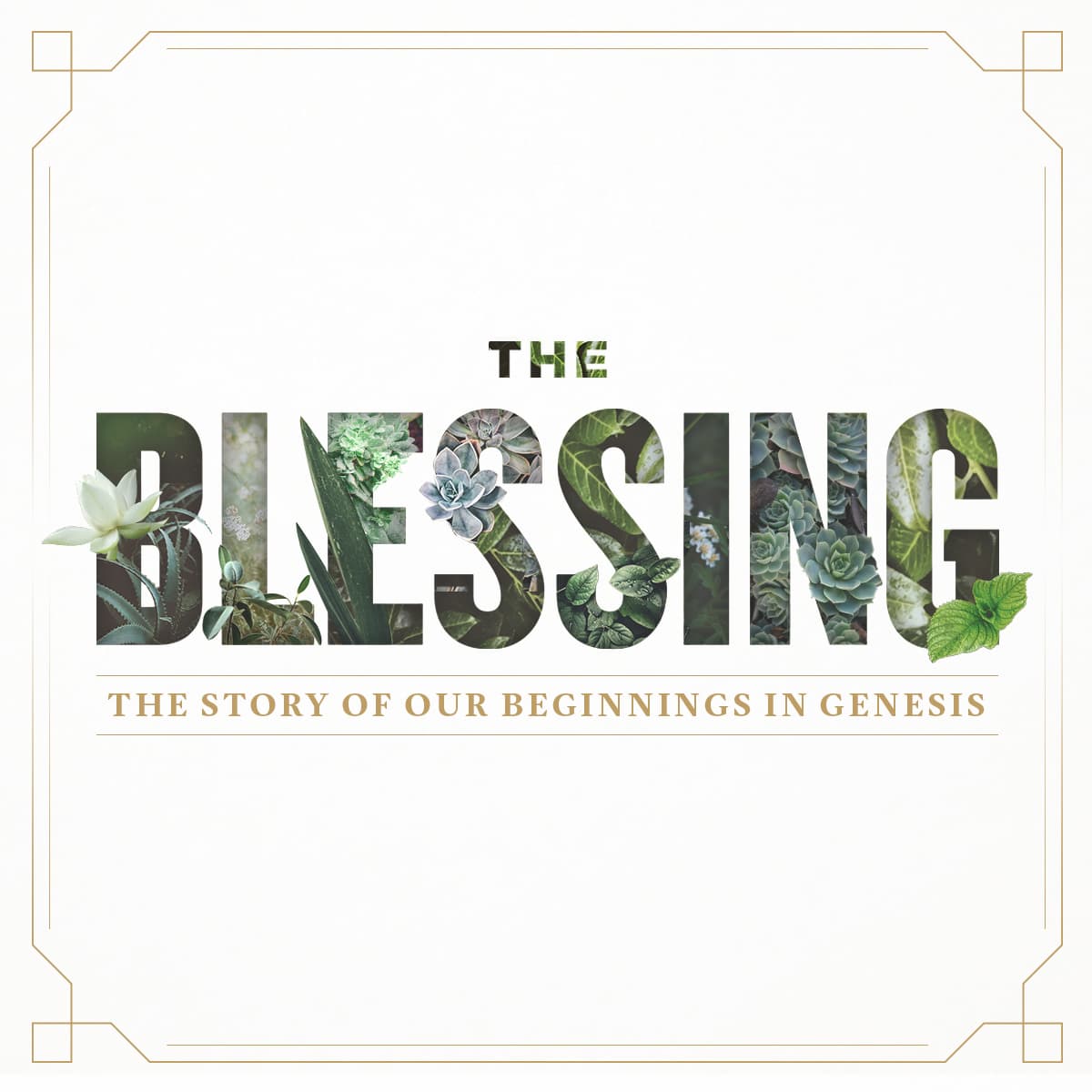 The Blessing: The Story of Our Beginnings in Genesis